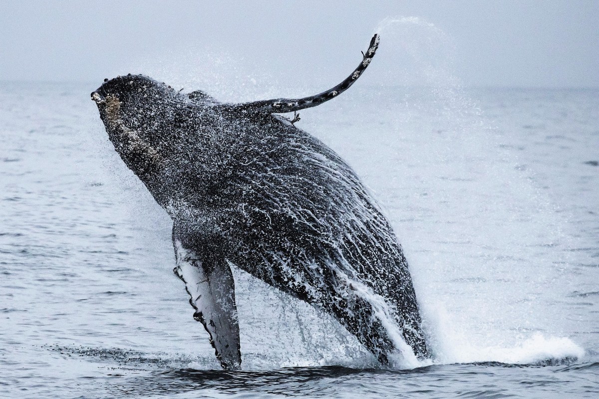 New Year New Adventures in San Diego for&nbsp;2023