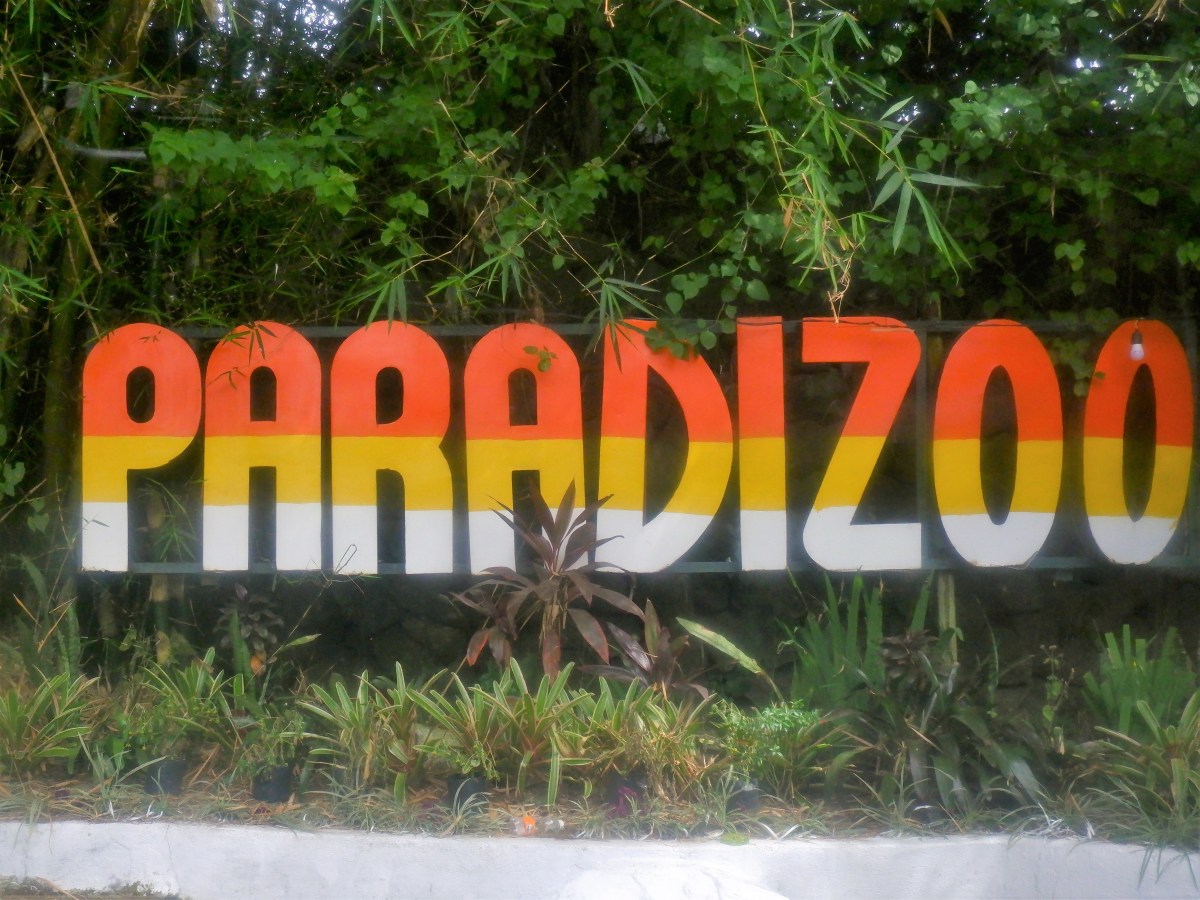 8 things to do at Paradizoo Theme&nbsp;Farm
