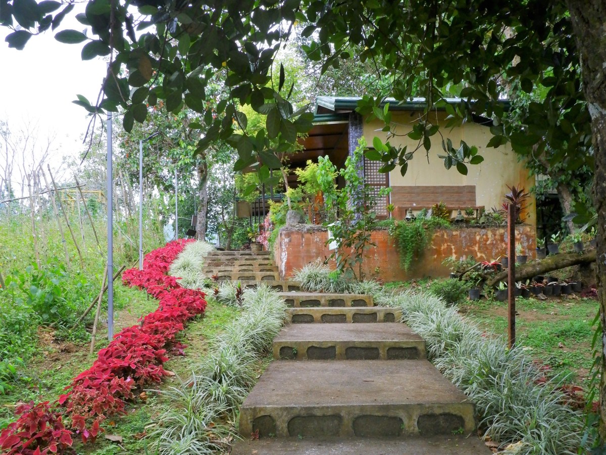 Get a taste of rural life at Paradizoo Theme Farm’s Banig and Breakfast&nbsp;cottages