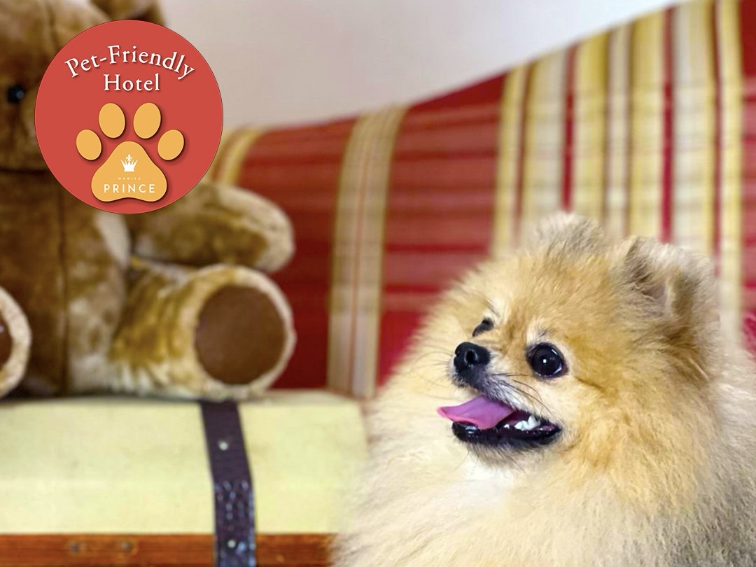 Manila Prince Hotel’s Pet-Friendly&nbsp;Retreats