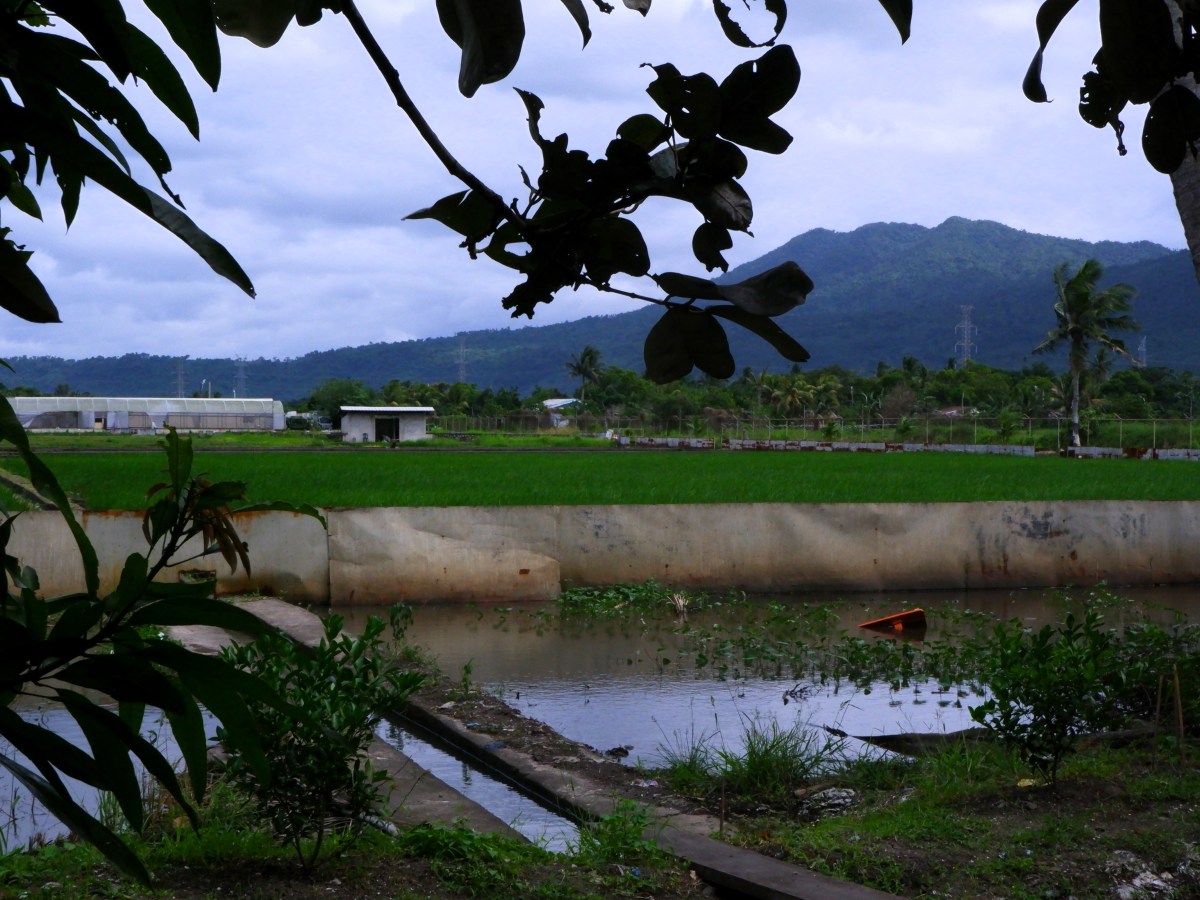 Lingap LEADS Foundation champions plight of Pinoy&nbsp;farmers